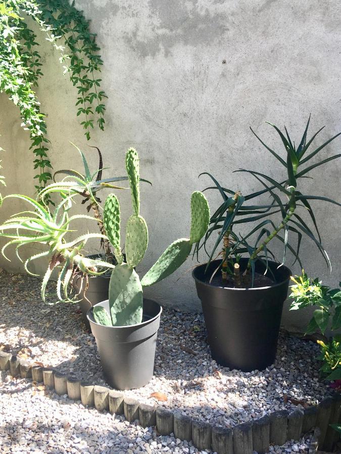 Dans Une Maison, Appartement Independant Et Jardin Перпинян Екстериор снимка